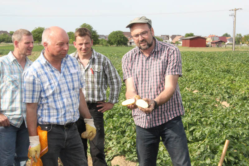 Hans-Jrgen Memer (2.v.l.) und Mark Mitschke (re.) berprfen mit Landwirten die Qualitt der Frhkartoffeln. 