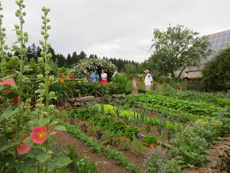 Mit der Grtnerin Brigitte Riesle (rote Hose) ber den Garten und das Grtnern fachsimpeln war vielen Gartenbesuchern ein Anliegen. Schn zu sehen,  die reihenweise Mischkultur im Bauerngarten auf dem Breiteckhof/Gtenbach der immerhin auf 920m Hhe liegt.