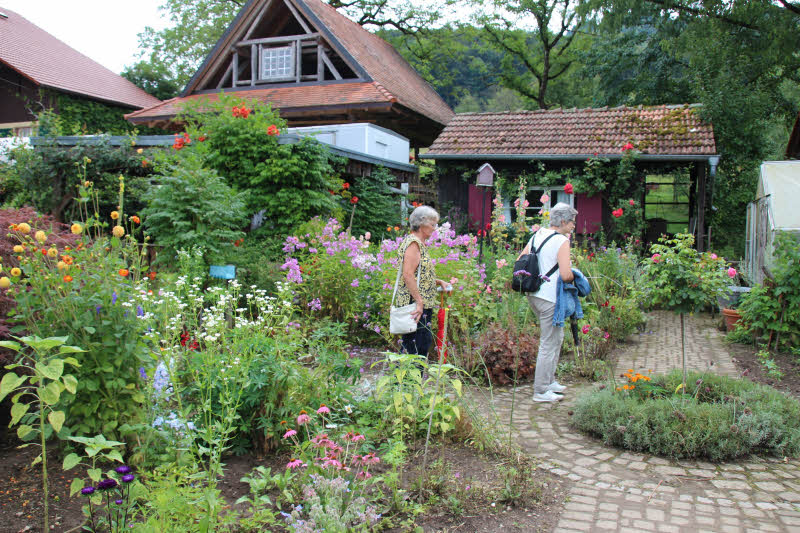 Bauerngarten Setsrerhof/Gengenbach: Gut geschtzt liegt der Garten zwischen Wohnhaus und konomiegebuden.