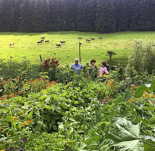 Der Neuzugang unter den Bauerngrten in diesem Jahr zum Tag der offenen Bauerngrten ist der Garten von Isolde Kaltenbach vom Eckhof bei Schnwald.